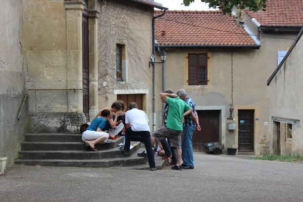Omnibus | À la reconquête des coteaux enfrichés