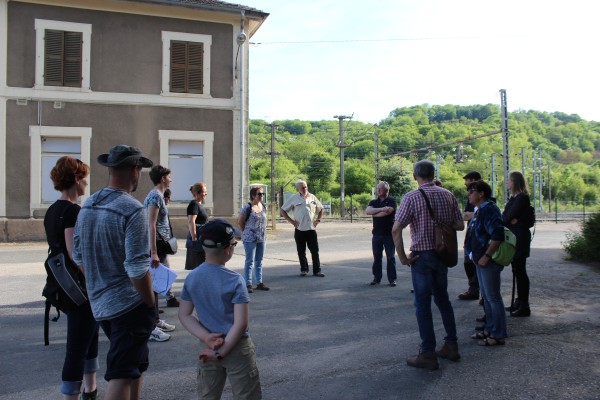 Omnibus | À la reconquête des coteaux enfrichés