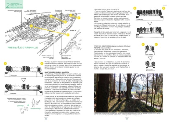Omnibus | À la reconquête des coteaux enfrichés