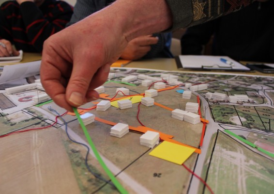 Omnibus | Borest, cogitations et plantations