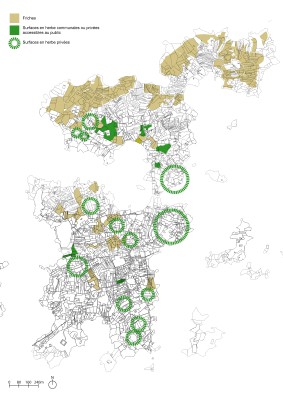 Omnibus | Cultiver sur l'île de Bréhat