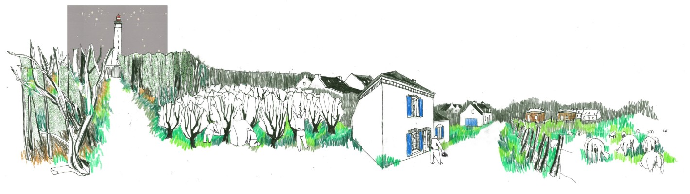 Omnibus | Délaissés de Belle-Île-en-Mer