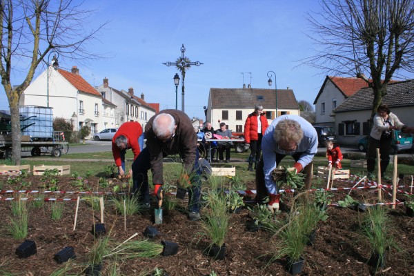 Omnibus | Fleurissement durable, de la théorie à l&#039;action