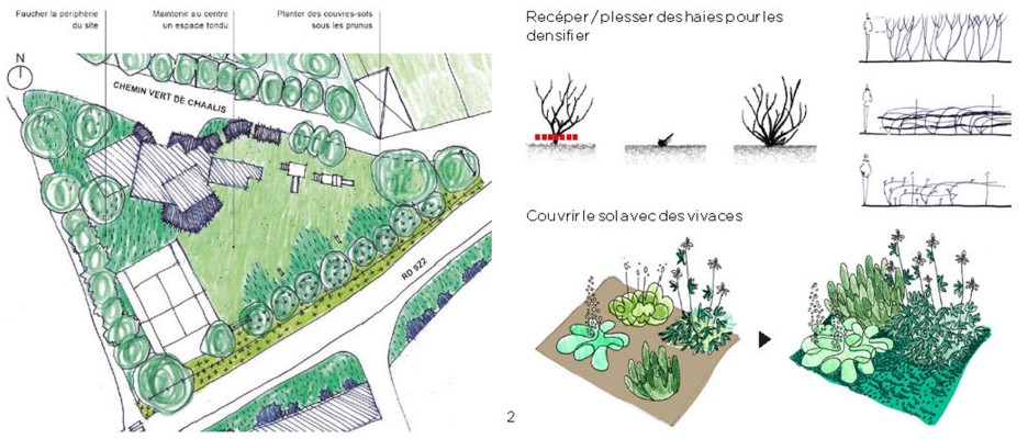 Omnibus | Fleurissement durable, de la théorie à l&#039;action