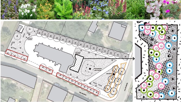Omnibus | Fleurissement durable, de la théorie à l&#039;action