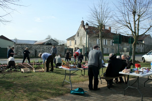 Omnibus | Fleurissement durable, de la théorie à l&#039;action