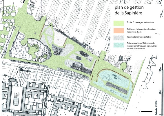 Omnibus | La Sapinière, une friche à Grigny