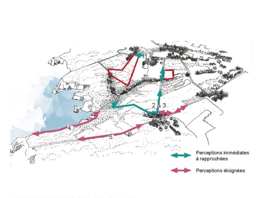 Omnibus | Locmaria, paysages viticoles à venir