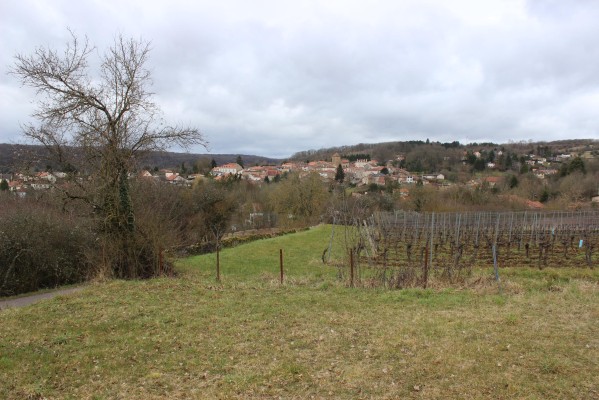 Omnibus | Mont St-Quentin, recommandations pour site classé