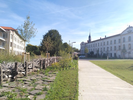 Omnibus | Ouvrir un ancien site hospitalier sur la ville