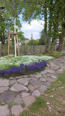 Omnibus | Ouvrir un ancien site hospitalier sur la ville