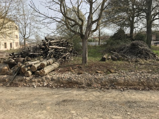 Omnibus | Ouvrir un ancien site hospitalier sur la ville