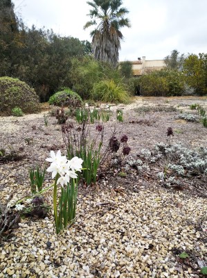 Omnibus | Parc nature et sportif au Val de Biey