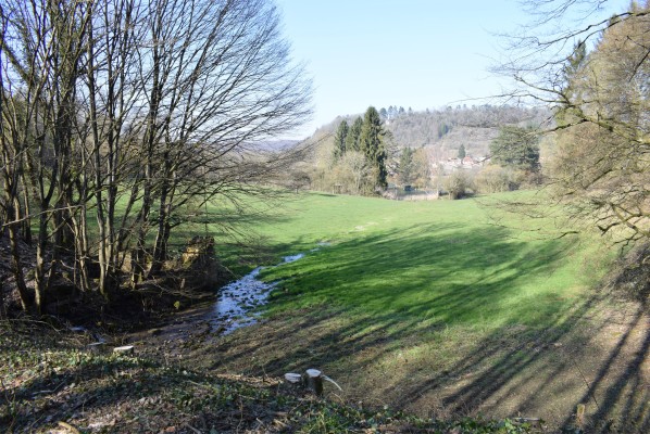 Omnibus | Plan guide pour le fond de la Gueule à Gorze