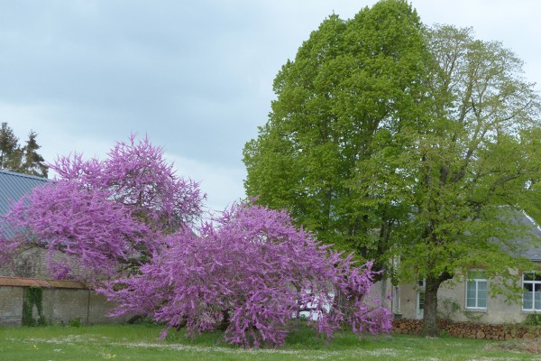 Omnibus | Poupry, nouveau jardin public à l&#039;école