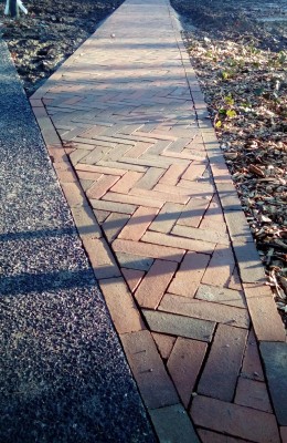 Omnibus | Sentier d’Hérin, le piéton avant tout